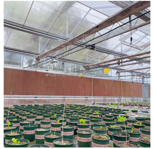 Système de refroidissement industriel <span class=keywords><strong>pour</strong></span> serres avicoles, panneau évaporatif en nid d'abeille avec <span class=keywords><strong>cadre</strong></span> en aluminium/acier inoxydable/galvanisé - Product Image 2