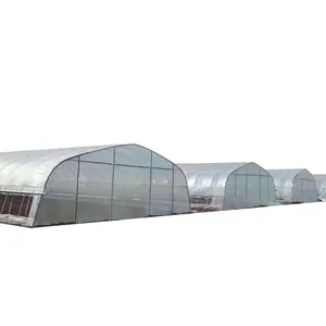 Polytunnel Greenhouse Cheap Agricultural Tent Singlespan Polytunnel Green House Plastic Film Tunnel Single-Span Greenhouses