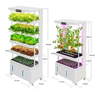 Système de culture hydroponique automatique intelligent sans sol pour légumes ; Usine de culture intérieure domestique ; Système hydroponique vertical pour fruits et légumes