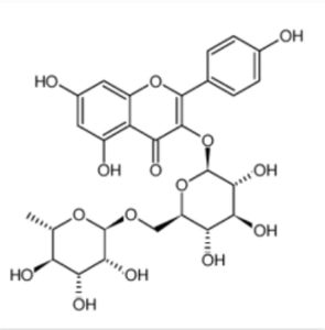 Kaempferol-3-O-rutinoside Reference Standard, HPLC ≥98.0% cas:17650-84-9 - Product Image 1