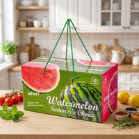 Boîte cadeau en forme de pastèque, 2 pièces, universelle, grande capacité, portable, en papier laminé personnalisé avec plateau intérieur