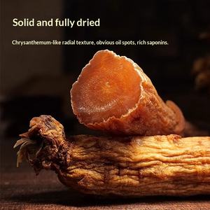 Großhandel Ganze Getrocknete Rote Ginsengwurzeln mit Vollständigen Wurzeln vom Changbai-Gebirge Ohne Zuckerzusatz 500g Geschenkbox - Product Image 2