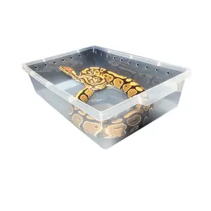PP Reptile caixa A4 tamanho gecko cobra Horned Frog Turtle balde plástico réptil alimentação gaveta do armário bandeja 33*24*10.2cm