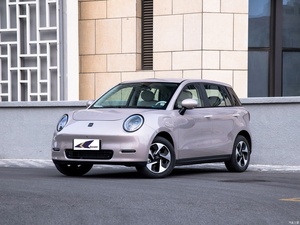 سيارة جديدة تعمل بالطاقة تصدر سيارة جاك الصين سيارة جديدة Ev Auto محرك جاك رخيص الثمن للبالغين - Product Image 5