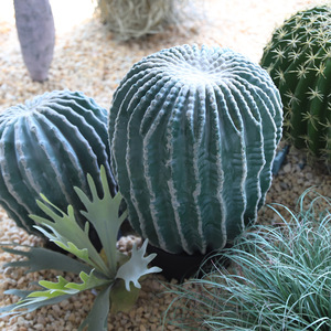 Cactus Artificiale Dorato a Forma di Sfera, Realistico, di Alta Qualità, Ecologico, Durevole, Resistente all'Acqua, per Interni ed Esterni, Casa e <span class=keywords><strong>Giardino</strong></span> - Product Image 5