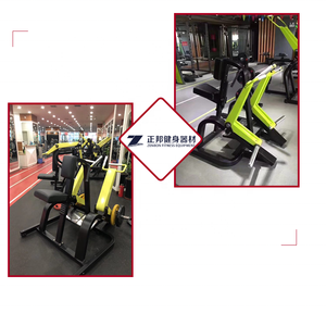 Commercial Use <strong>Seated</strong> Vertical <strong>Row</strong> <strong>Machine</strong> Pin Loaded Equipment <strong>Seated</strong> <strong>Horizontal</strong> <strong>Row</strong> <strong>Machine</strong> - Product Image 6