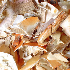 ผงเปลือกปูธรรมชาติ | ปรับปรุงสุขภาพของดินและผลผลิตของพืช - Product Image 1