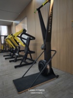 Máquina de esquí mecánica de resistencia a la fricción de aire, simulador de esquí para gimnasio, equipo de ejercicio y fitness de uso comercial
