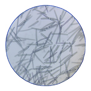 Poudre d'éponges végétales de haute qualité, extrait d'herbes, OEM ODM, éponges hydrolysées, cosmétiques naturels pour le corps - Product Image 2