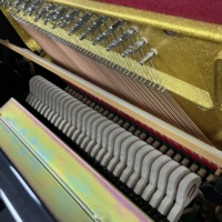 Premium Pearl River Piano Wholesale Fine Craftsmanship Full Resonance Reliable Quality for Worldwide Distributors