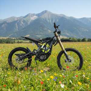 Surron Light 8Kw 60V 40Ah 2025 X Surron Light Bee X 8kw 60v 40ah electric Dirt <b>Bike</b> Off Road Motorcycle High Power <b>Engine</b> - Product Image 6