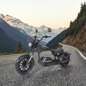 Scooter Eléctrico de Alta Calidad EEC M1PS 4000W, 80km/h, Impermeable, Plegable, con Batería de Litio, Stock Europeo para Adultos - Product Image 1