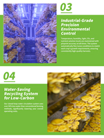 Grande ferme hydroponique automatique en conteneur maritime avec pompe à moteur, éclairage LED, contrôle électronique du CO2, culture verticale intérieure de légumes 304