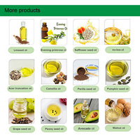 Extrait de Capsicum Oleorésine de Qualité Alimentaire pour Assaisonnement de Snacks, Nouilles Instantanées, Sauces, Viandes et Hot Pot