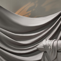 Parure de lit de luxe pour hôtel, 300TC, 100% coton satiné tissé, PVC, taille Queen, couleur unie, housse de couette 90x90 pouces, drap plat 60x80 pouces