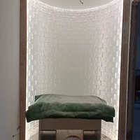 Brique de verre texturée transparente à motif de glace double face incurvée, très vendue, pour la décoration murale en arc