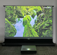 Écran de projection motorisé HEYU 150 pouces à tension par languettes, pour vidéoprojecteur laser 4K AWOL Aetherion Max à ultra courte focale ALR CLR