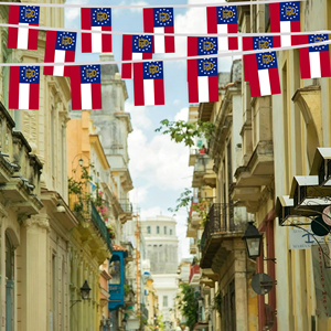 Drapeaux personnalisés de l'État de Géorgie (USA) en gros, guirlande de 13 étoiles, arche, piliers, bannière imperméable pour fête de plein air - Product Image 4