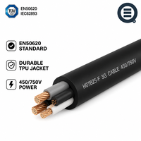 Câble de charge pour véhicules électriques certifié EN50620 H07BZ5-F, gaine TPU 450/750V, fil d'alimentation 90°C pour station de recharge commerciale EVSE