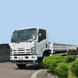 8-10 Ton Nieuwe Japanse Cargo Truck