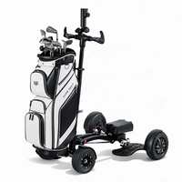 ES1388 Yüksek Performanslı Hafif 14Ah Elektrikli Scooter Tek Kişilik Ulaşım İçin Değiştirilebilir Pil ile Golf Sahaları İçin Uygun