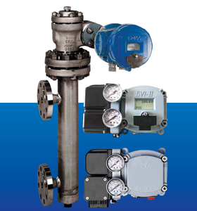 Nivel Digital de Acero al Carbono Serie 12400 de Masoneilan con Clasificación IP66/IP65 para Medición Industrial - Product Image 6