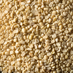 Nueva Temporada de Urad Dal de FitTree International, India (Gujarat), Legumbres de Gram Negro Premium, 24 Meses de Vida Útil, para Venta al Por Mayor - Product Image 1