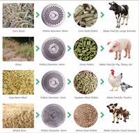 Machine à granulés d'aliments pour volailles, moutons et porcs de 500 kg/h, ligne complète à vendre