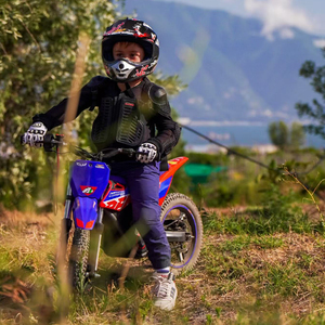 <span class=keywords><strong>Moto</strong></span> électrique à 2 roues T 36V, <span class=keywords><strong>mini</strong></span> <span class=keywords><strong>moto</strong></span> de course avec moteur de 500W, <span class=keywords><strong>Apollo</strong></span> RFN Warrior Kids SX-E500 - Product Image 5