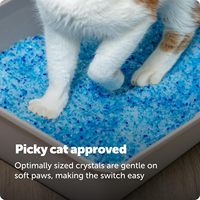 Litière pour chat en gel de silice naturel de haute qualité en gros – Litière pour chat en cristal de silice