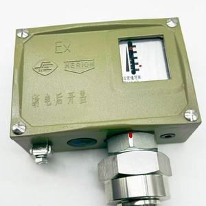 HERLON D511/7D 851581 EX Interruptor de Agua a Prueba de Explosiones IP54 Conexión de Latón G1/4 0.016-0.16 bar Shanghái - Product Image 2