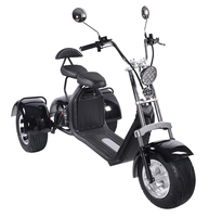 Scooter électrique à trois roues en alliage d'aluminium étanche avec moteur brushless 1500W, capacité de charge 200kg, télécommande