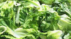 Groente Fruit Kool IJsberg Rode Sla Paprika Aubergine Bubbelwasser <span class=keywords><strong>Centrifuge</strong></span> Ontwateringsdroogmachine - Product Image 6