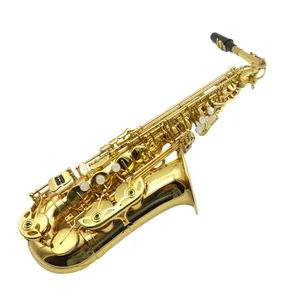 Saxofoon Instrument Voor Beginners En Volwassenen In E Platte Altsaxofoon