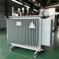 Transformateur de distribution immergé dans l'huile S13-M à haut rendement énergétique 20kV 400V à enroulement en aluminium économique