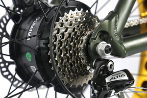 Bicicleta eléctrica de llanta ancha retro, venta al por mayor, China, 2021 w, 1000 - Product Image 5