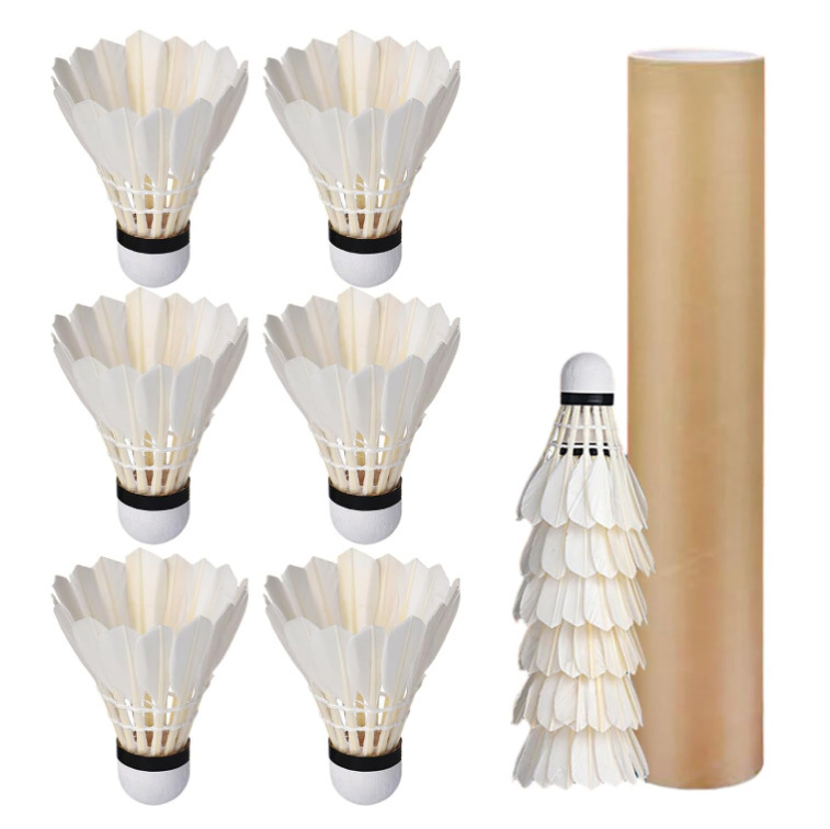 Volants de badminton blancs, 6 pièces, têtes en mousse tubulaire