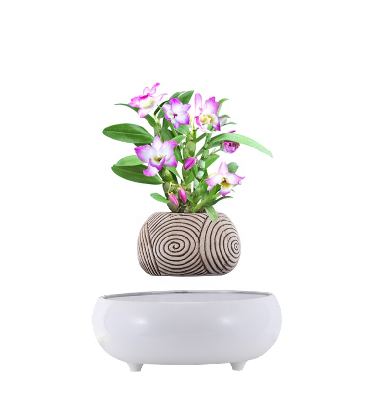 50cm plant pot