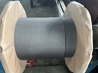 Câble métallique galvanisé 6x19 7x19 6x24 Fc 6mm 8mm 10mm 12mm 16mm en acier au carbone