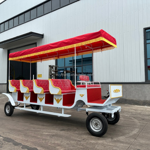 Carruaje de exhibición europeo, carroza real para bodas, carro de pasajeros para parques y turismo - Product Image 2