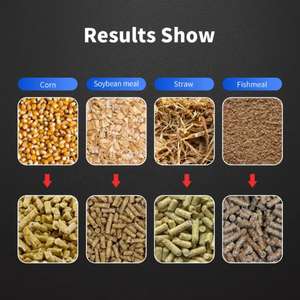 <span class=keywords><strong>Vente</strong></span> chaude Moulin à aliments pour animaux Fabrication de granulés Granulation Poulet Bétail Petit granulés d'aliments granulés - Product Image 6
