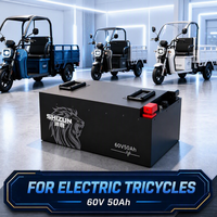 Batterie LiFePO4 60V 50Ah pour Tricycle Électrique et Vélo Électrique, 3000 Cycles, IP65, BMS, Boîtier ABS, Cellule Cylindrique, Direct Usine