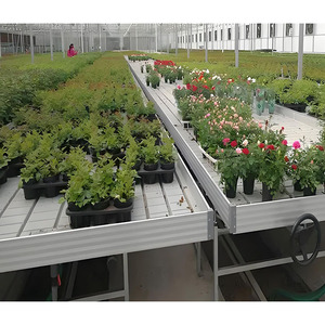 Vente directe Grande table de <span class=keywords><strong>jardin</strong></span> pour plantes d'intérieur avec chaleur mobile Plateau roulant <span class=keywords><strong>en</strong></span> <span class=keywords><strong>zinc</strong></span> Couverture <span class=keywords><strong>en</strong></span> feuille de PC - Product Image 2