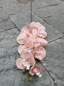 M906 оптовая продажа, одностворчатые настоящие на ощупь белые орхидеи, свадебное украшение, искусственные орхидеи, цветок фаленопсиса для декора - Product Image 6