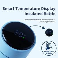 Bouteille d'Eau Intelligente en Acier Inoxydable de 500ml avec Logo Personnalisé, Affichage de Température et Anti-Fuite pour Bureau et Voyage