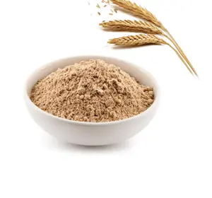 China Supply Factory Price Vital Wheat Gluten Powder 25kg