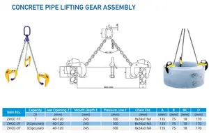 1T 2T 3T Opknoping Buisklem Verticale Beton Pijp Hijsklem Gear Assembly