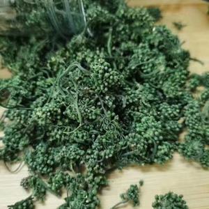 Atacado Granel Seco <span class=keywords><strong>Ginseng</strong></span> Flor Chá Alta Qualidade Seco Panax <span class=keywords><strong>Ginseng</strong></span> Flor Aceitar OEM - Product Image 5