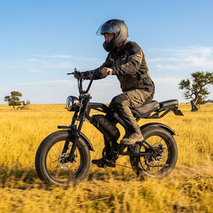 Bicicletta Elettrica <span class=keywords><strong>M2</strong></span> 20" in Acciaio ad Alto Tenore di Carbonio, Doppio Motore, Pneumatici Larghi, 48V 750W, 30MPH, 35 Miglia di Autonomia, 7 Velocità - Product Image 1