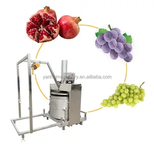 Commercial Cold Press Hydraulic Press Grape Sea Buckthorn Loquat Aloe Vera Cassava Fruit Juicer Extractor Machine